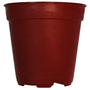 BABA No.55 Smoky Brown Plastic Pot (5.5cmØ x 5cmH)