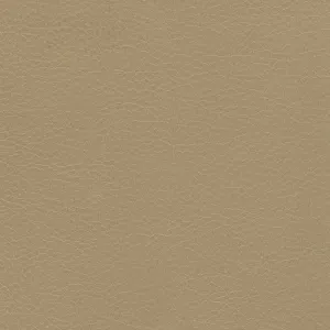 Barcelona-Clay