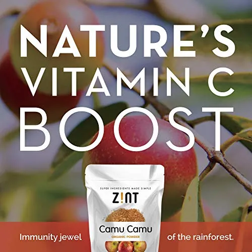 Camu Camu en polvo, Vitamina C Natural por Zint: crudo orgánico Antioxidant Superfood – Apoyo inmune Booster &amp; Anti Envejecimiento, sin OGM, Super Vitamina C Berry (3.5 oz)