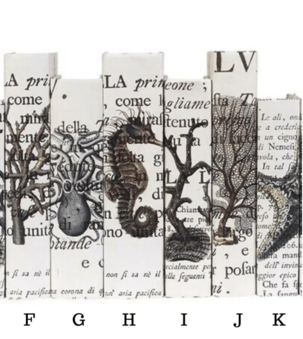 Coastal Series on Cream Parchment with Latin Script  7.5"- 9.5"