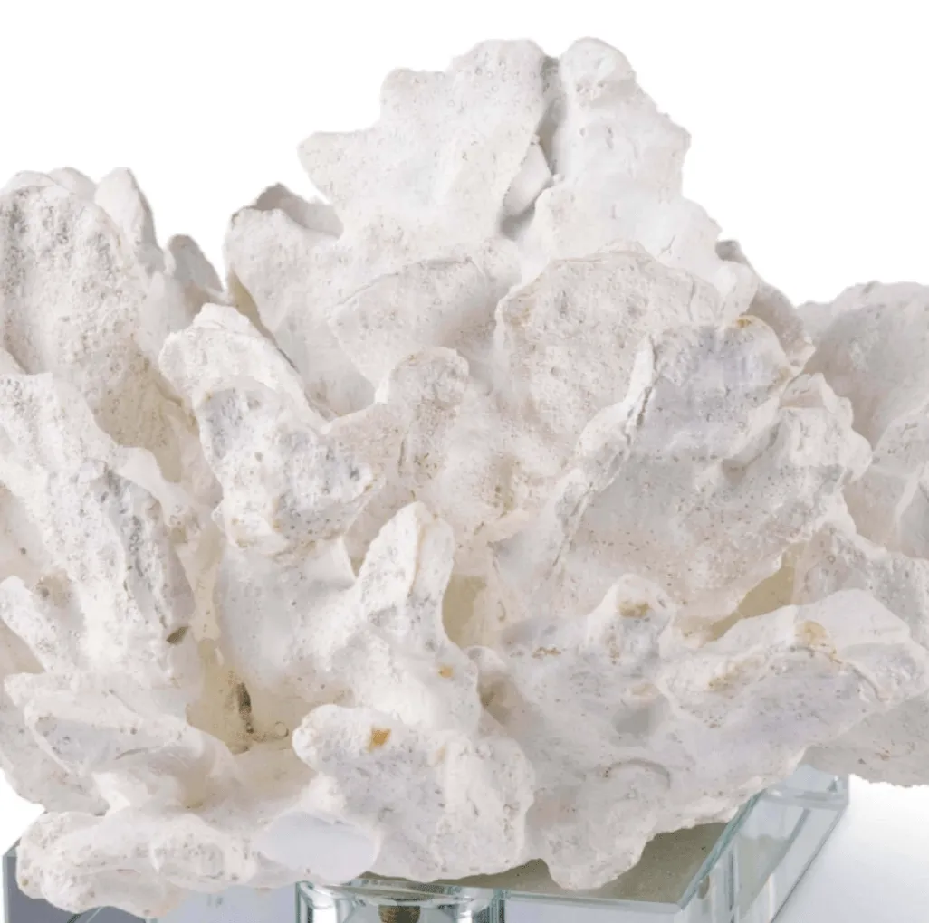 Flower Coral On Crystal Base