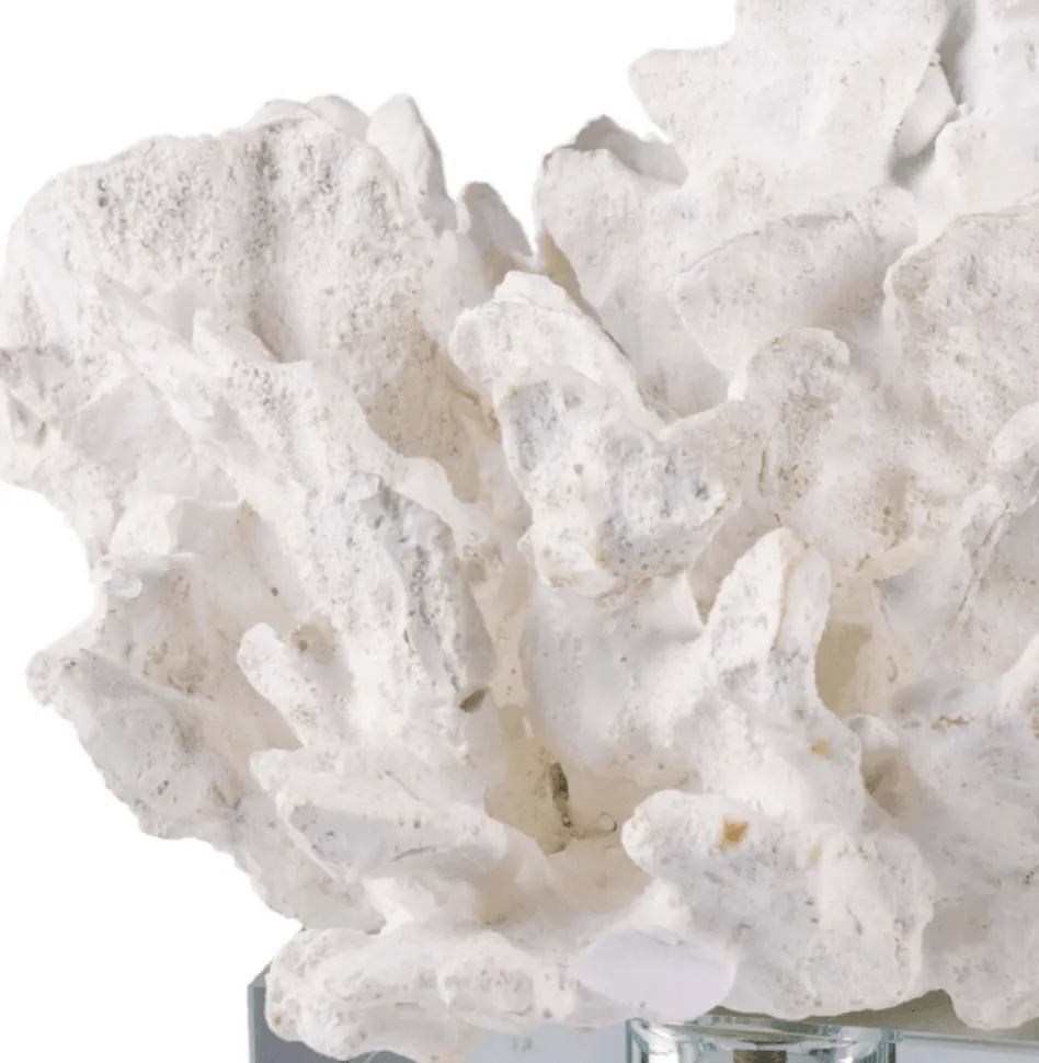 Flower Coral On Crystal Base