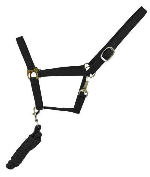 FULL SIZE NYLON HALTER