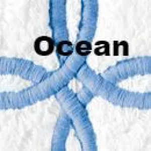 Gordian Knot Guest Towels