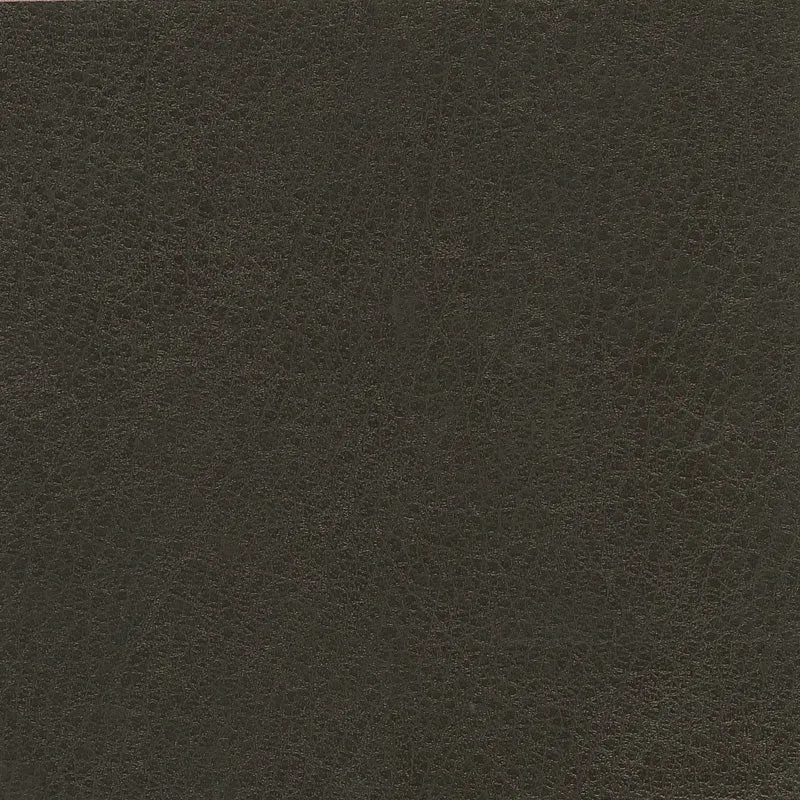 Isabel-Shadow