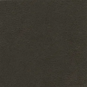 Isabel-Shadow