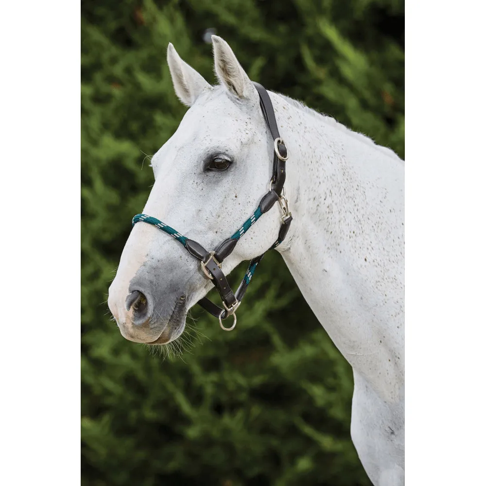 Kincade Leather Rope Headcollar