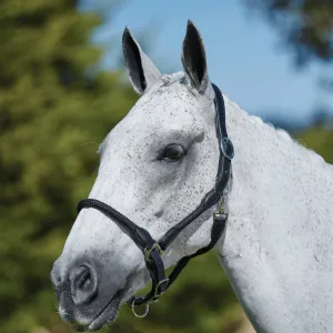 Kincade Leather Rope Headcollar