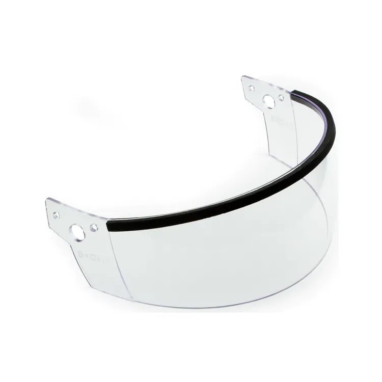 LIFER REPLACEMENT VISOR