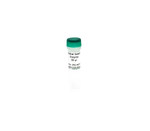 Microbial Selection Enzyme