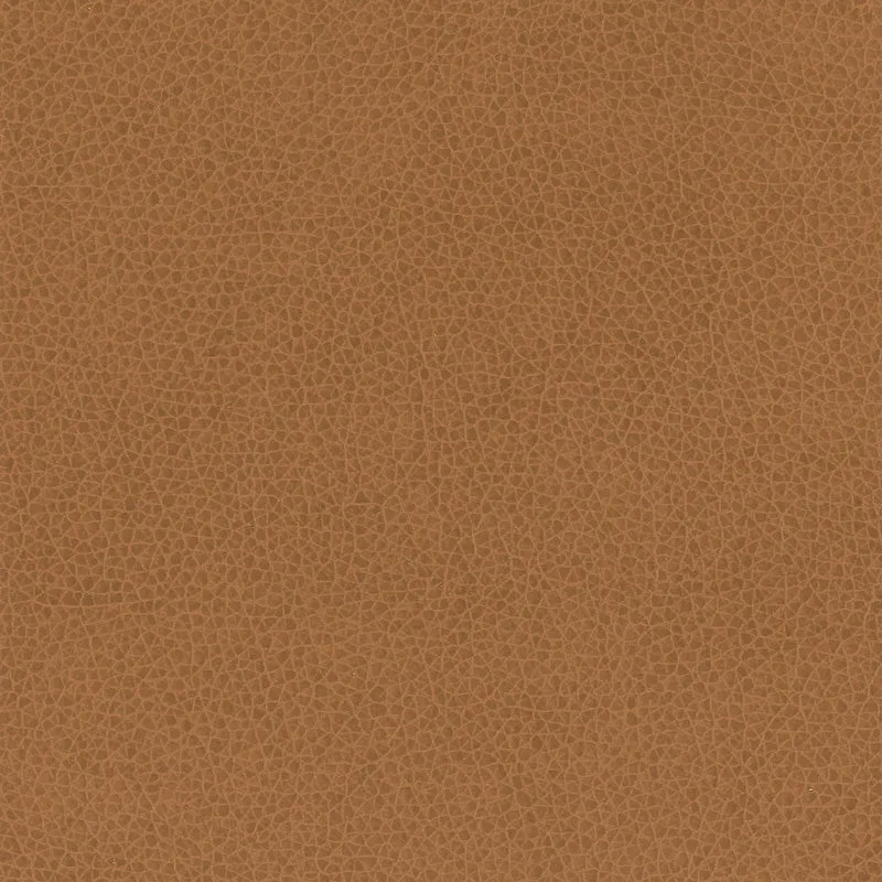 Nemo-Oak
