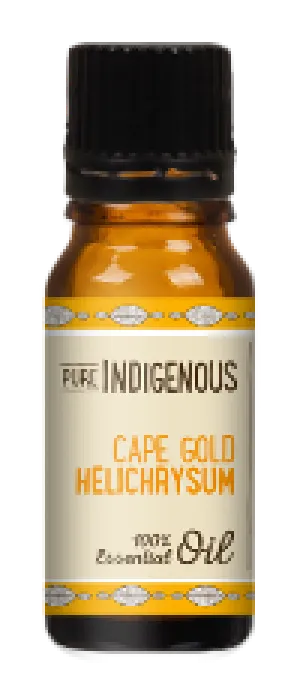 Pure Indigenous Cape Gold Helichrysum