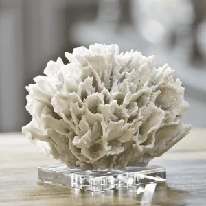Ribbon Coral on Crystal Stand