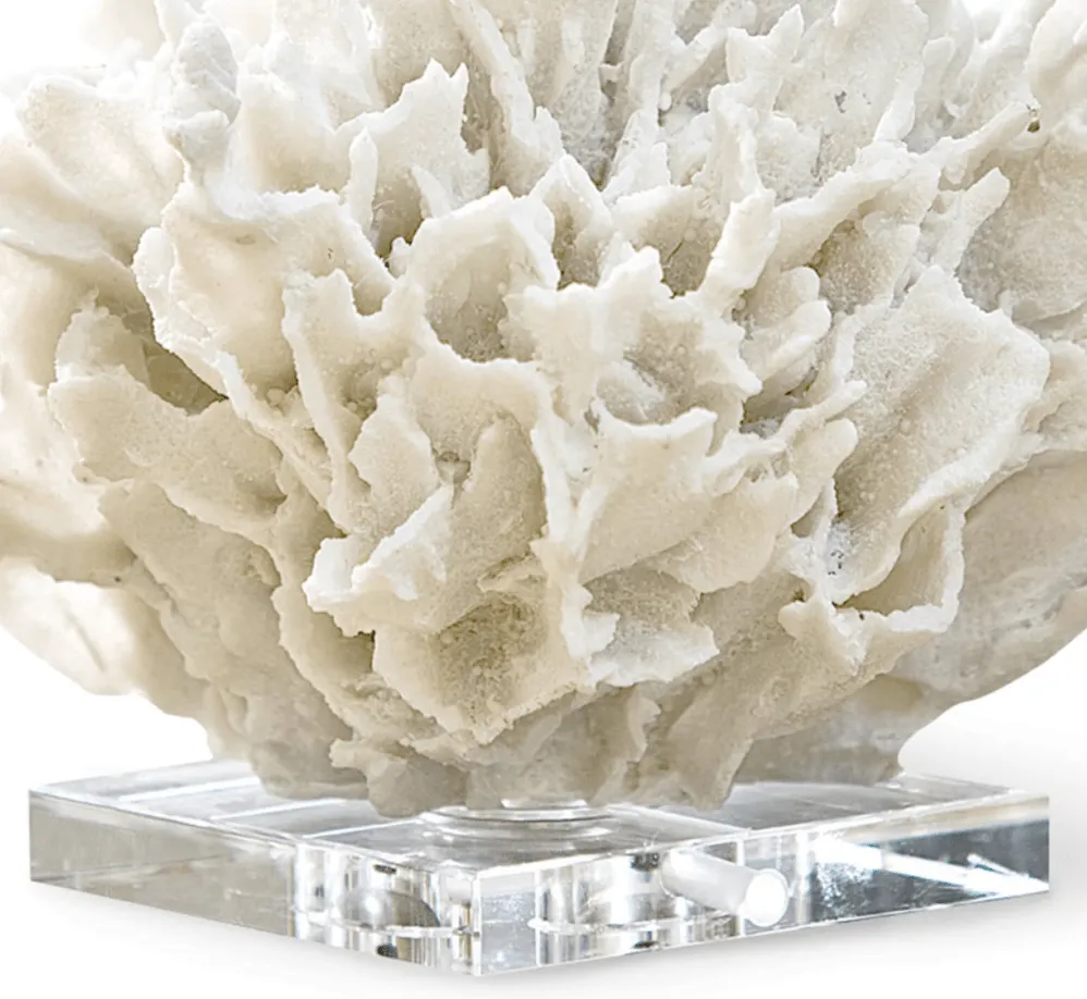 Ribbon Coral on Crystal Stand