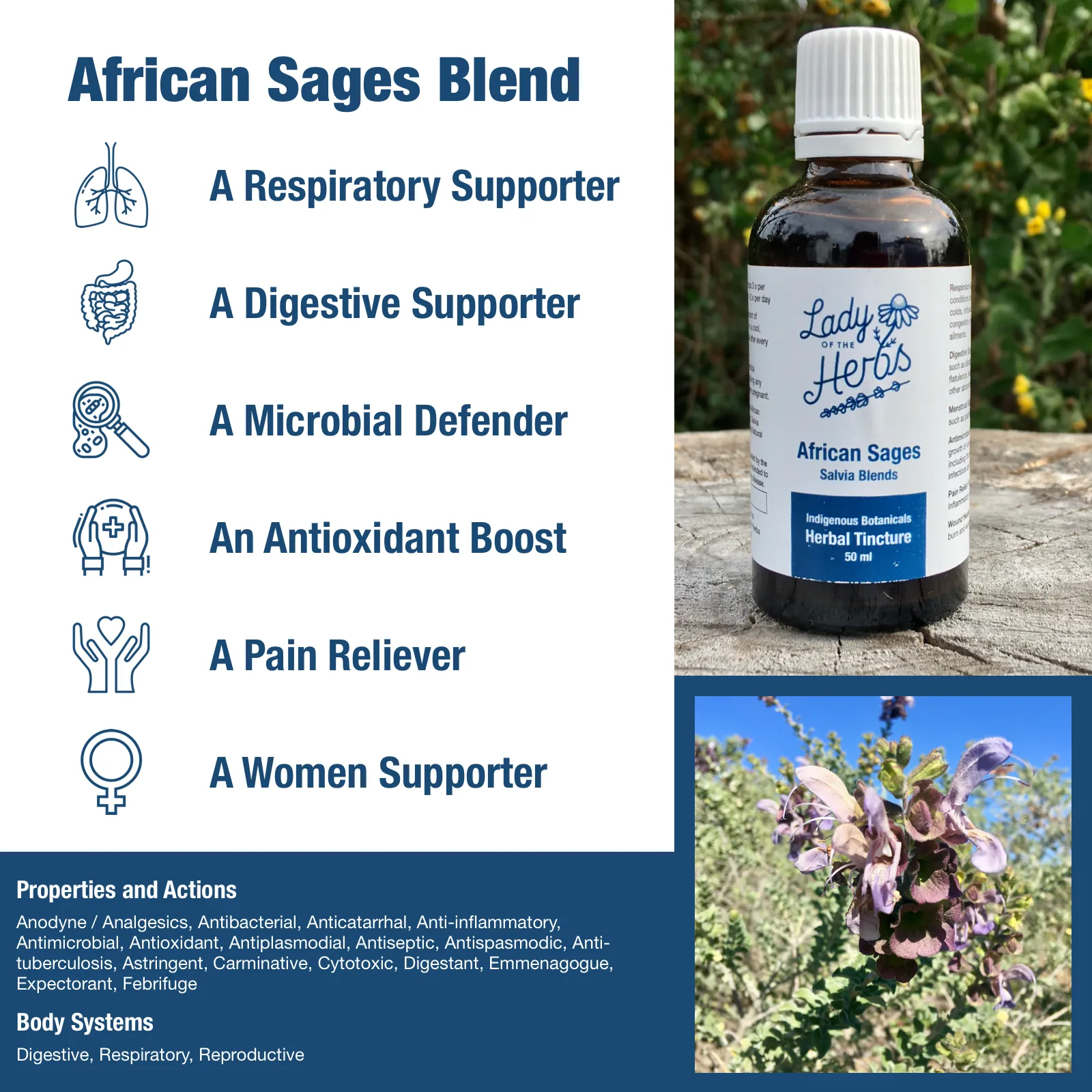 Sage Blend Tincture