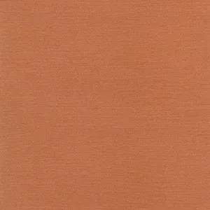 Slinky-Henna