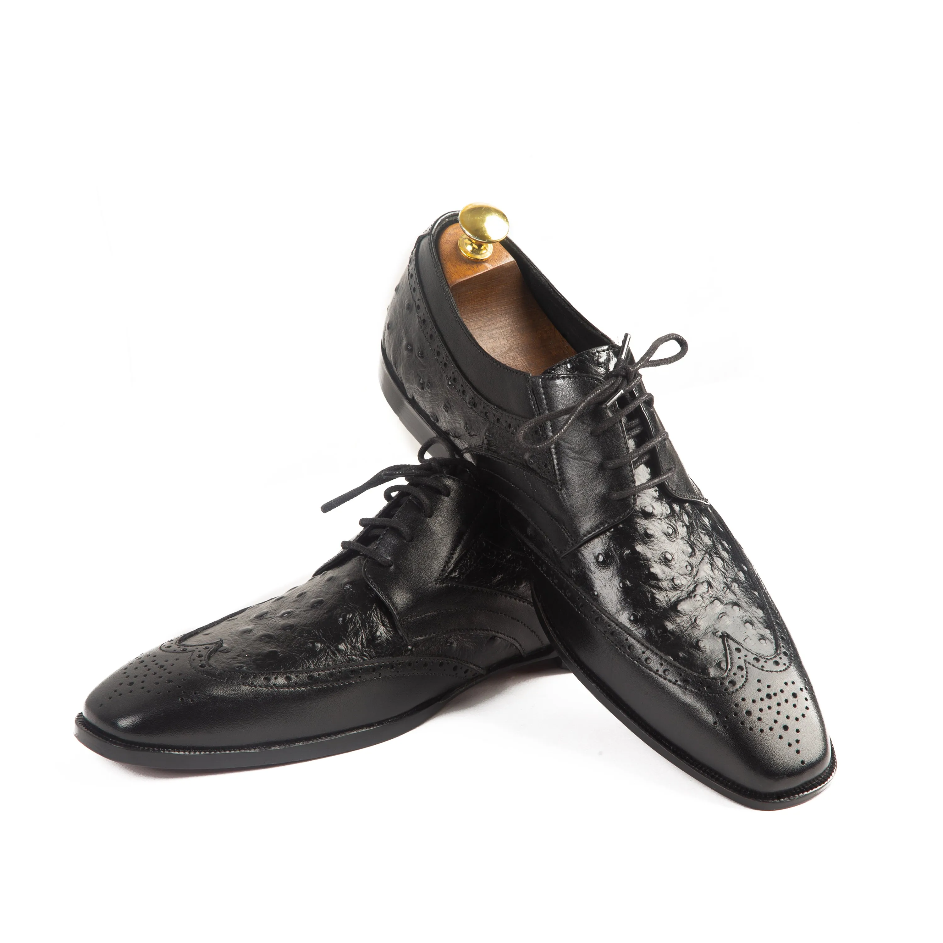 TROSTEN OXFORD OSTRICH 110