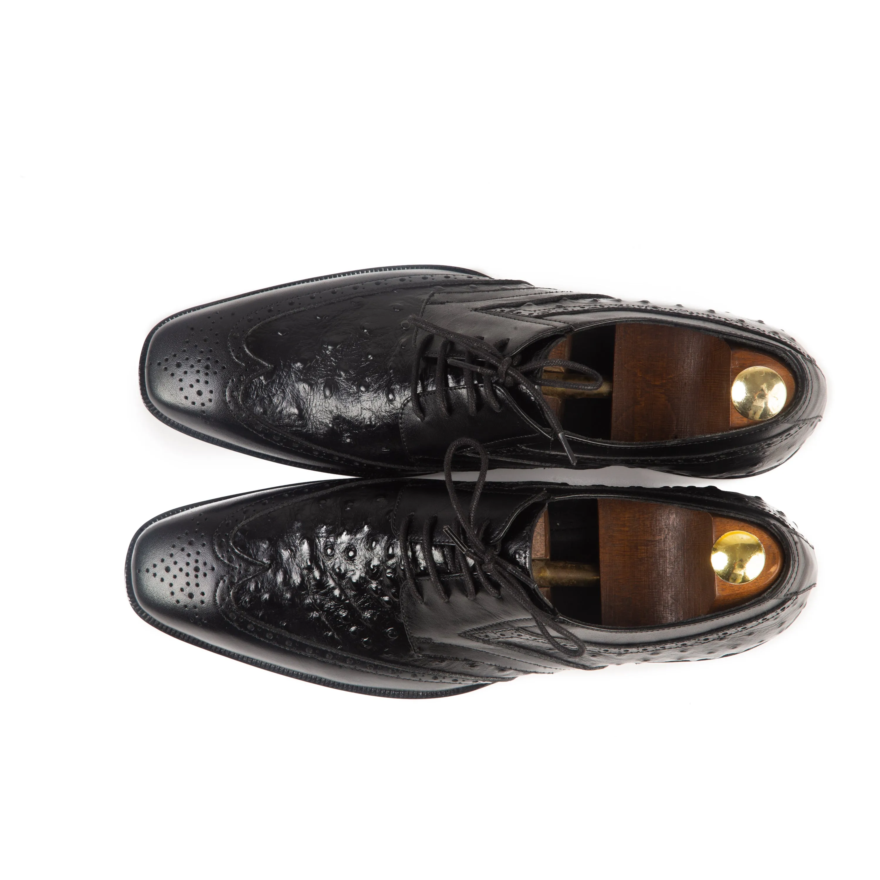 TROSTEN OXFORD OSTRICH 110