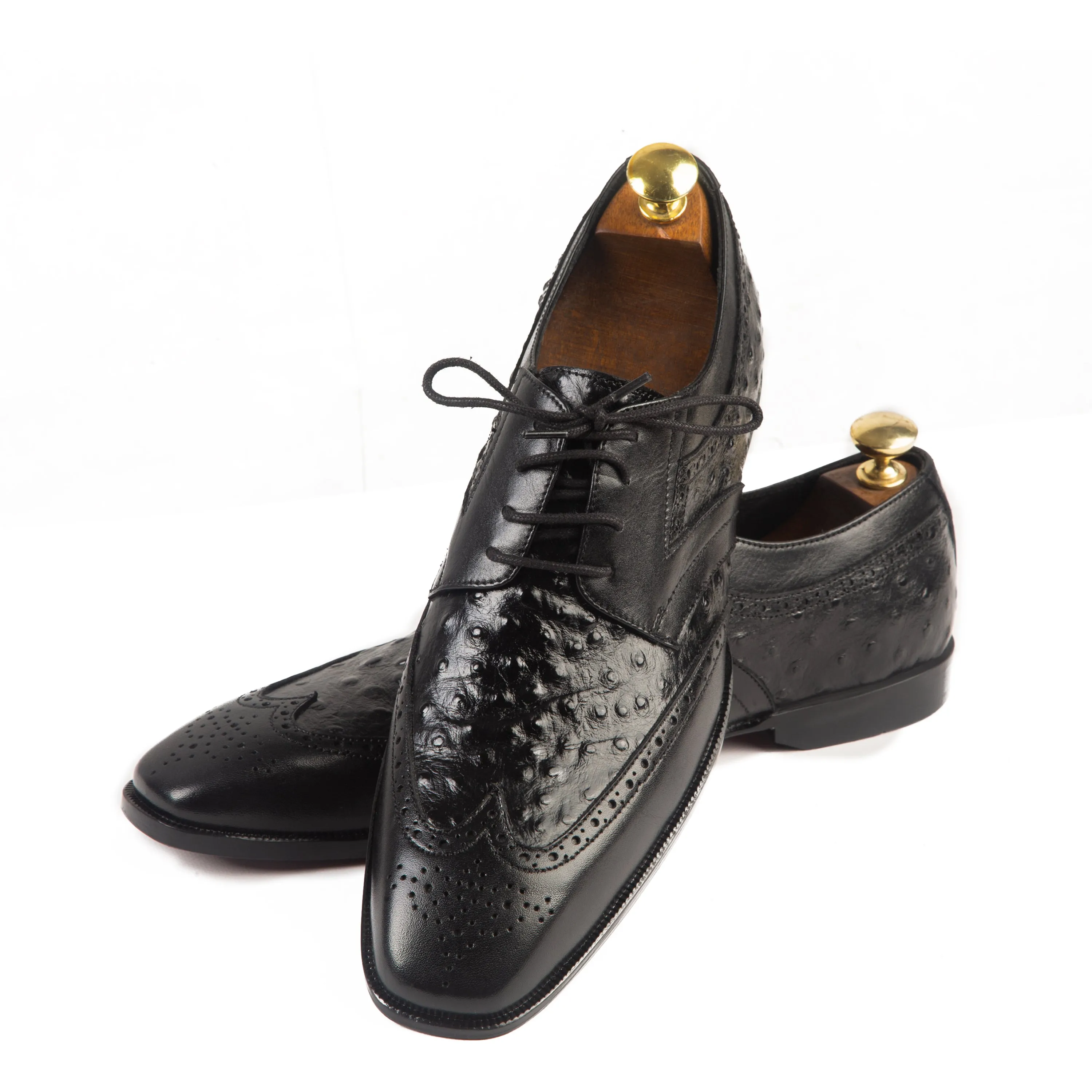 TROSTEN OXFORD OSTRICH 110
