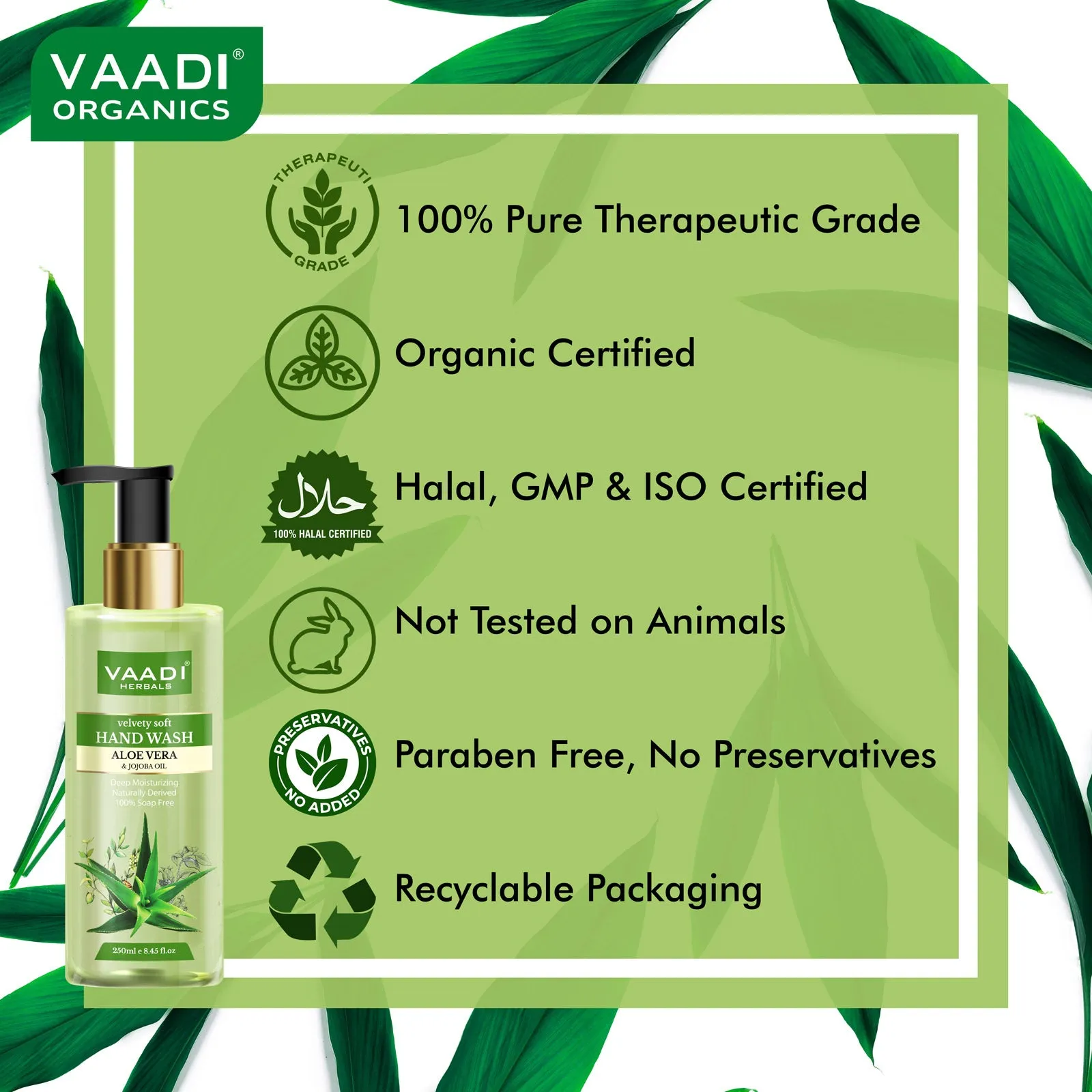 Velvety Soft Aloe Vera & Jojoba Oil Hand Wash (250 ml)